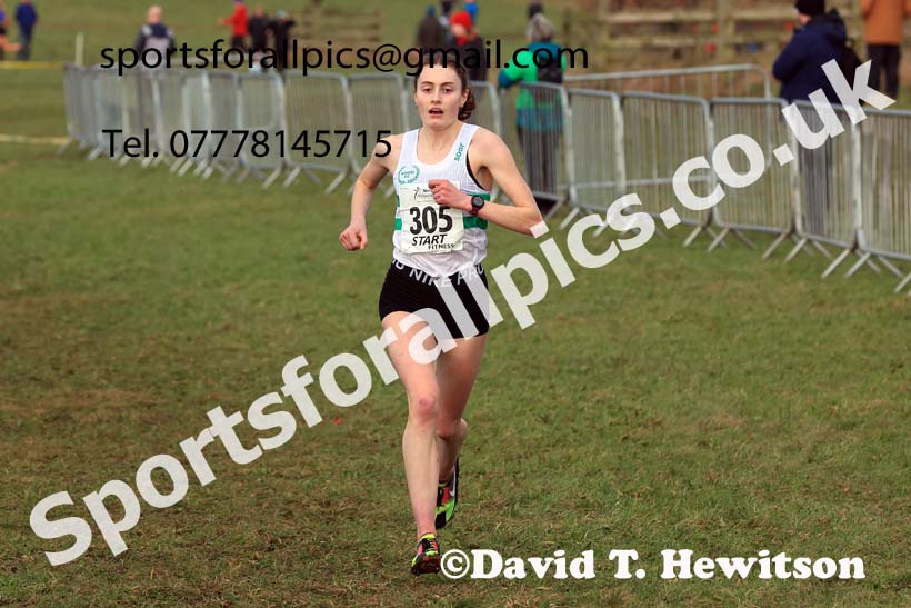 Senior Womens 2024 Northern Cross Country Champs., Sedgefield. Photo: David T. Hewitson/Sports for All Pics
